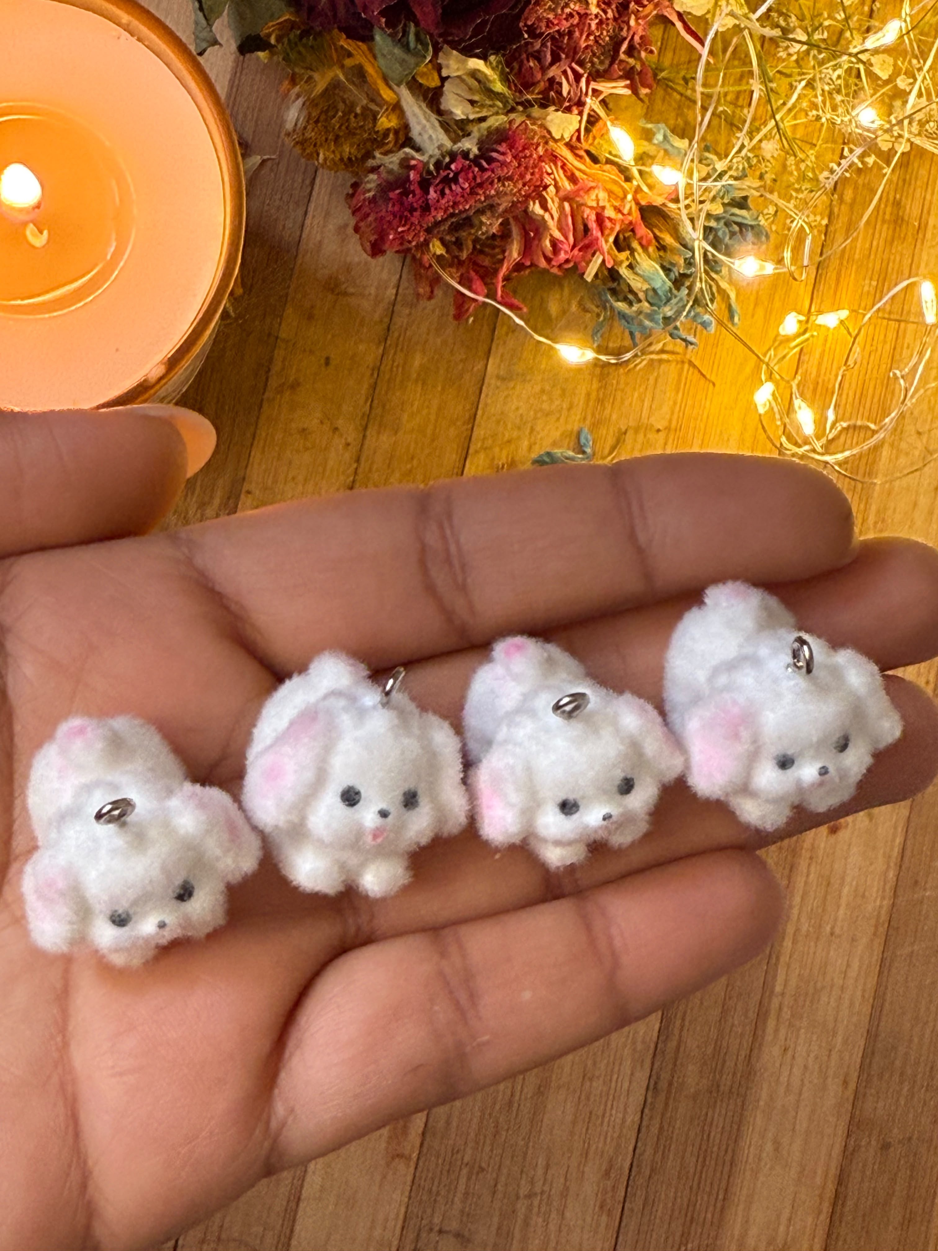 Charms